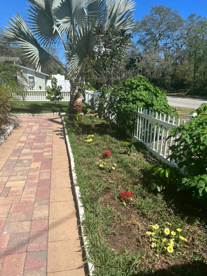 Caribbean Splendor Vacation Rental Near Bush Gardens Tampa Fl المظهر الخارجي الصورة