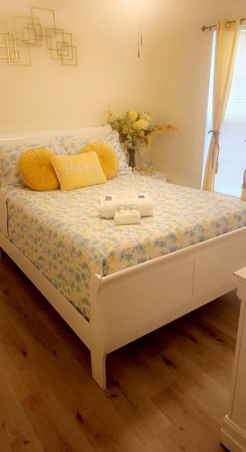 Caribbean Splendor Vacation Rental Near Bush Gardens Tampa Fl المظهر الخارجي الصورة