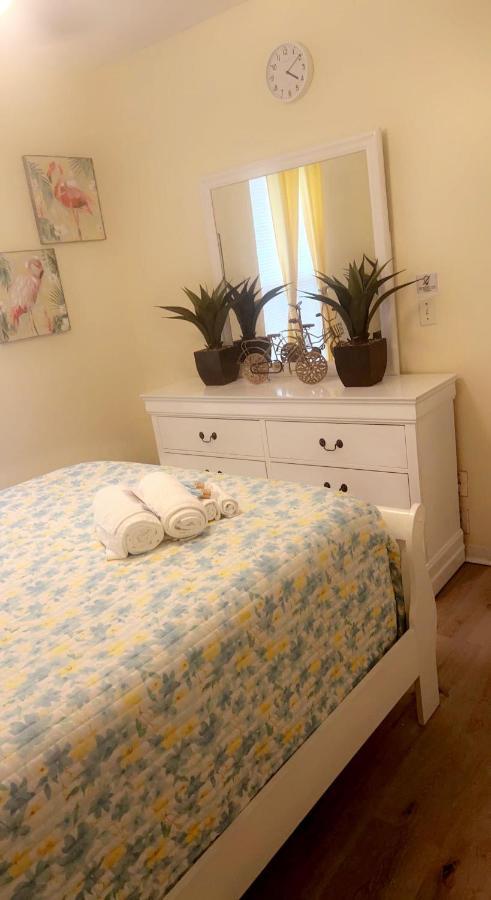 Caribbean Splendor Vacation Rental Near Bush Gardens Tampa Fl المظهر الخارجي الصورة